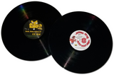 E.C. Illa - "Seeds, Stems & Gems"